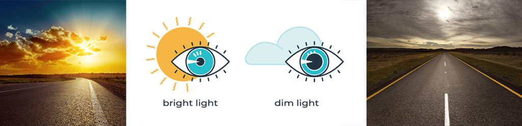 wearable-headup-displays